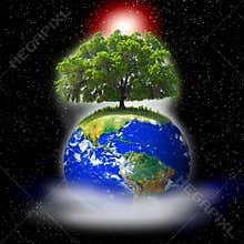 Tree on earth