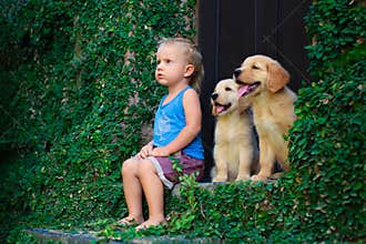 Happy baby boy sitting with two golden labrador retriever puppies