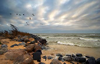 IJsselmeer