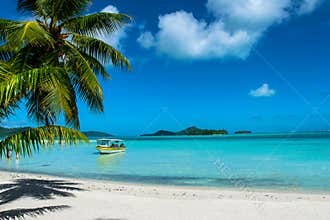 Bora bora tropical beach