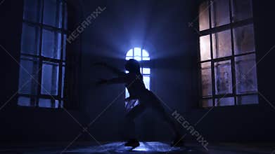 Woman ballet dancer face to viewer makes the pas, silhouette