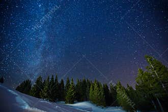 Beautifull scenery of a night winter starry sky above pine forest, long exposure photo of midnight stars and snowy woods