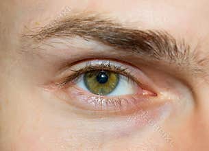 Eye of the young caucasian men