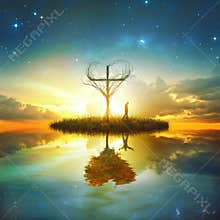 Cross and heart reflection