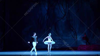 Classical ballet Swan Lake
