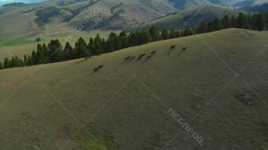 Aerial shot of cowboys on mountaintop