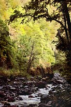 Lagodekhi National Park (Georgia)