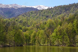 Small lake in Dilijan, Armenia