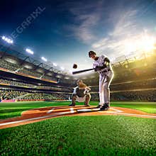 Professional baseball players on grand arena