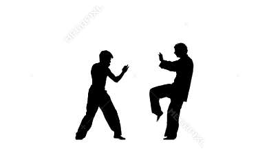 Sparrynh taekwondo on a white background, blows