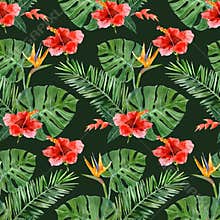 Hand drawn tropical plants seamless
