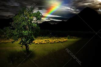 Tree of hope in darkness