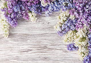 Lilac Flowers Bouquet on Wooden Plank Background, Spring