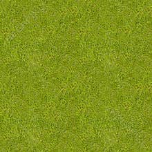 Seamless grass texture.
