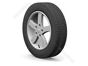 Wheel