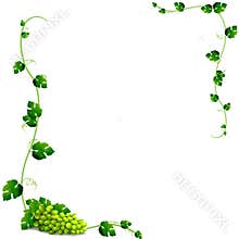 Grapes frame