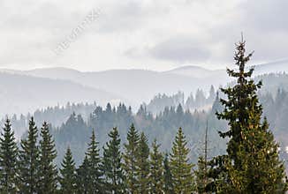 The Carpathian Mountains with pines forest, colored trees, cloudy vibrant sky, autumn-winter time. Predeal, Romania