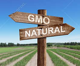 GMO and natural road sign with pea field as a