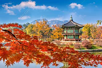 Gyeongbokgung Palace and Soft focus of Maple tree in autumn,Kore