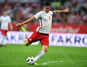 Poland - Netherland Friendly