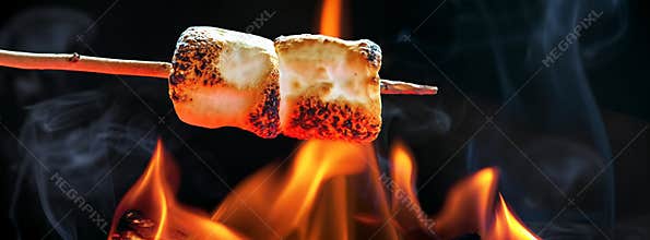 Roasting Marshmallows Over Campfire Horizontal Banner