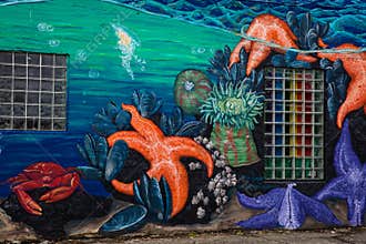 Starfish and Crab