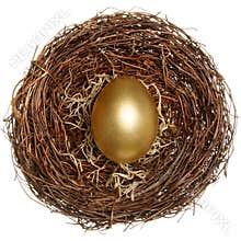 Golden egg financial concept