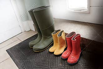 Wellington boots, children's wellies