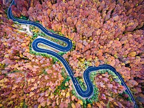 Aerial view of a winding road in the mountains in autumn season