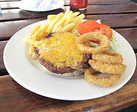 Cheese burger and fries