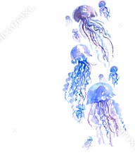 Isolated pale color tender jellyfish watercolor