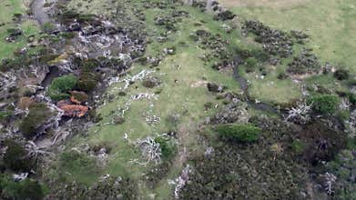 Green mountain panorama on coastline view from helicopter of Falkland Islands.