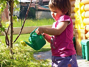 Watering the plants