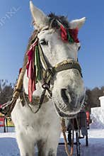 Carriage Winter Moon Lake Playground in Changchun in northeast China