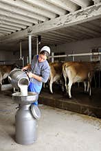 Amish woman pouring raw milk through a filter.