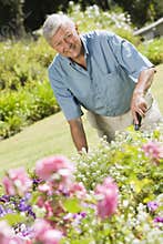 Senior man working in garden