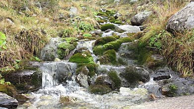Alpine brook with water flow and sound
