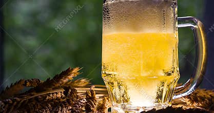 Concept of the Production of Beer