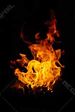 Fire