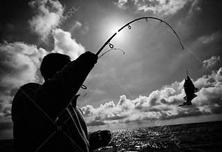 Fisherman and fish hooked
