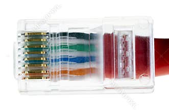 Network cable