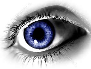 Big Blue Eye