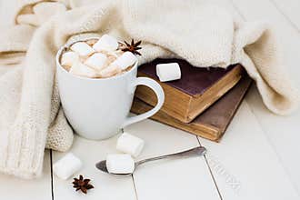 Cozy winter home background