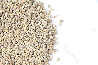 Pearl Barley