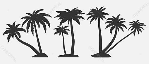 Set of palm trees silhouettes.