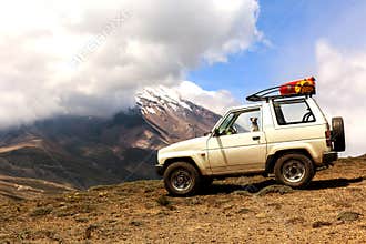 Jack Russell Terrier Dog On A Journey