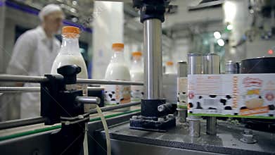 Sticking of labels on the bottles with milk