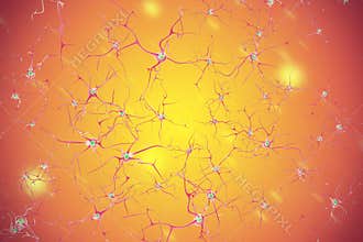 Nervous system 3d illustration of brain cells