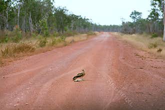 Outback road