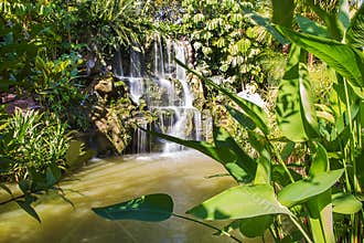 Bai Orchid and Butterfly Farm